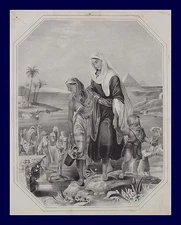 Egypt Egypt Pyramids Nile Camel Oasis Bedouin Palm Trees Desert Suez Cairo Giza