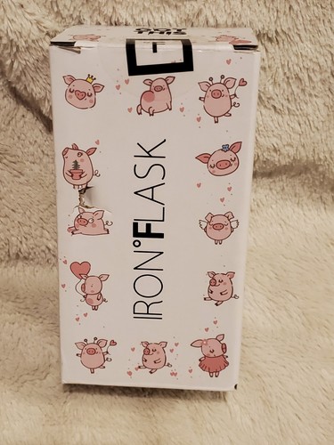 IRON °FLASK Kids 10 oz Water Bottle with Straw Lid Piggy Time Theme - Picture 5 of 6