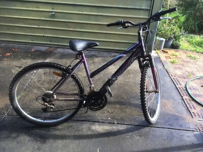 gumtree mens mountain bike