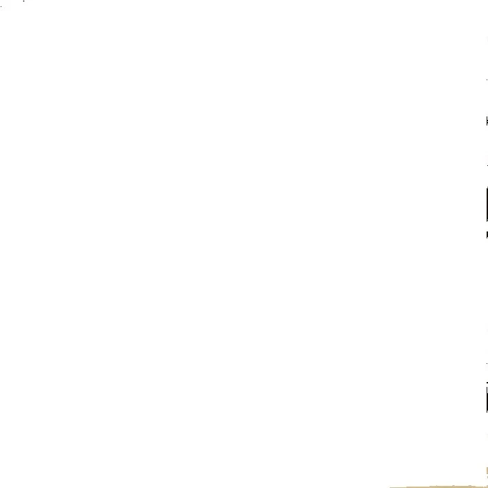 Adamascado De Boda Boda