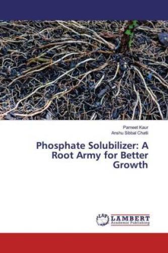 Phosphate Solubilizer: A Root Army For Better Growth 5842