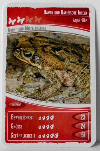 °° Ozeanien 2 - Wir tauchen auf! - Nr 001-054 - Sammelkarte - Netto °° - Picture 11 of 44