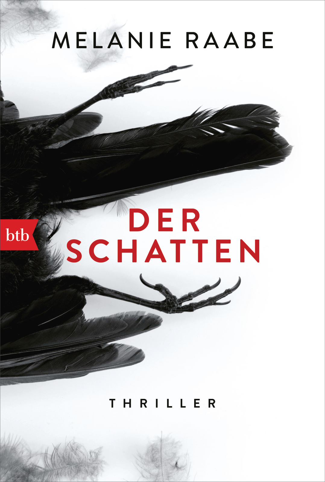 Thumbnail - Melanie Raabe / Der Schatten
