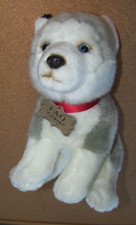 FAO SCHWARZ 2018 Husky Sitting blue eyes plush 10" dog collar button c41887