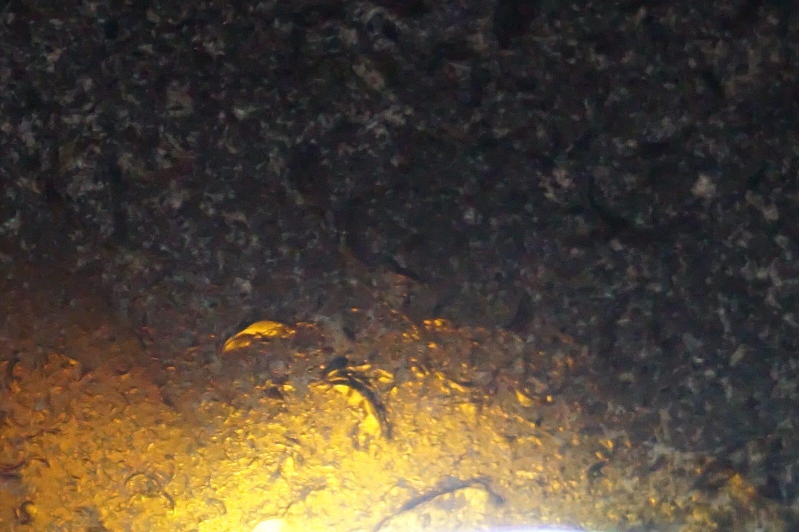 Bild 1 von 5