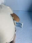 Foto 3 di 4