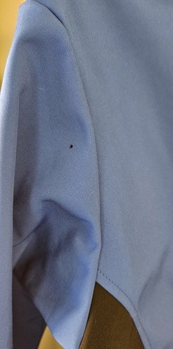 Image thumbnail 10