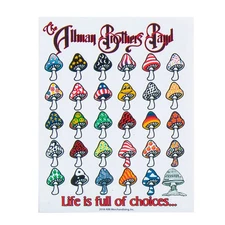 🍑🍄 ALLMAN BROTHERS BAND Life Is Full Of Choices *NEW* Sticker 4" x 5" 🍄🍑