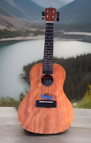 Diamond Head DU-200C Concert Ukulele Natural Rosewood Fingerboard Read