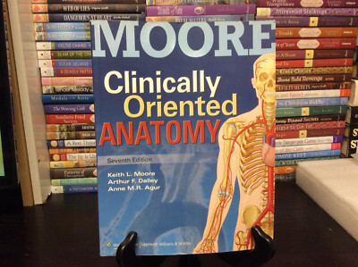 Moore Clinically Oriented Anatomy 7th Edition by Keith L