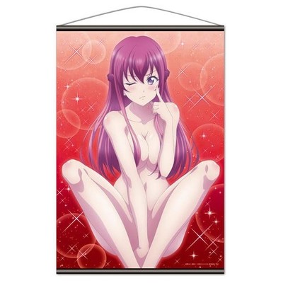 TV anime Goddess's Cafe Terrace B2 Tapestry E [Sakuraka Makuzawa]from JP