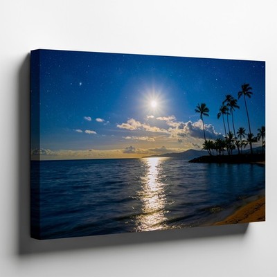 Serene Nighttime Beach Scene Illuminated By A Bright Full Moon Casting Wall Art