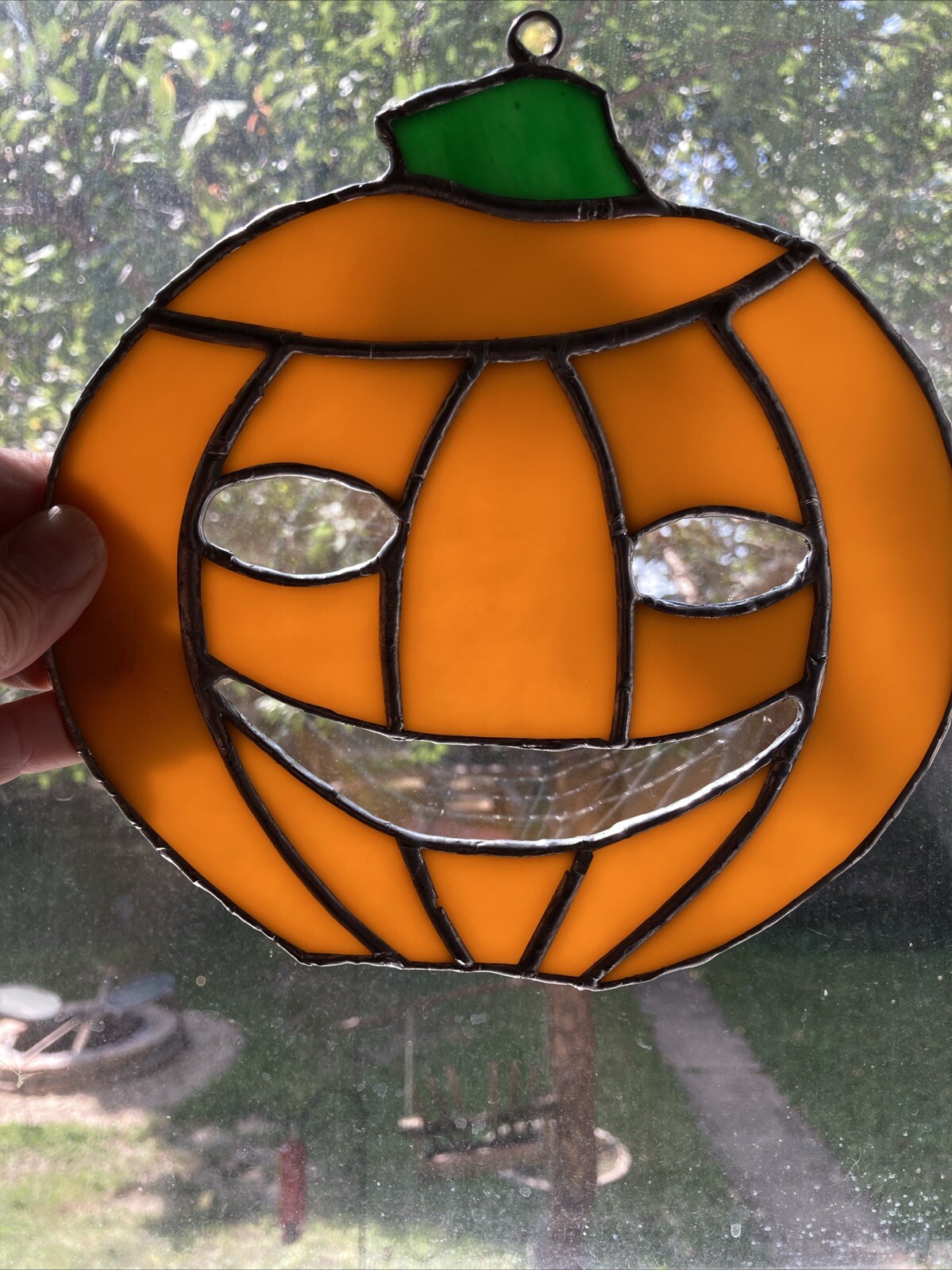 Picture 5 of 5