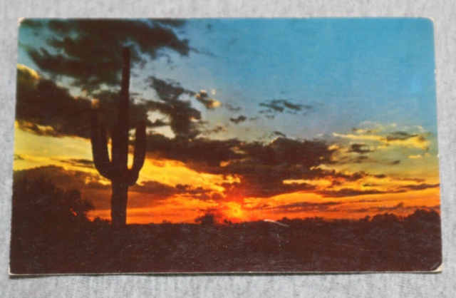 Vintage Postcard: Sunset Silouettes a Saguaro Cactus in the Western Sky