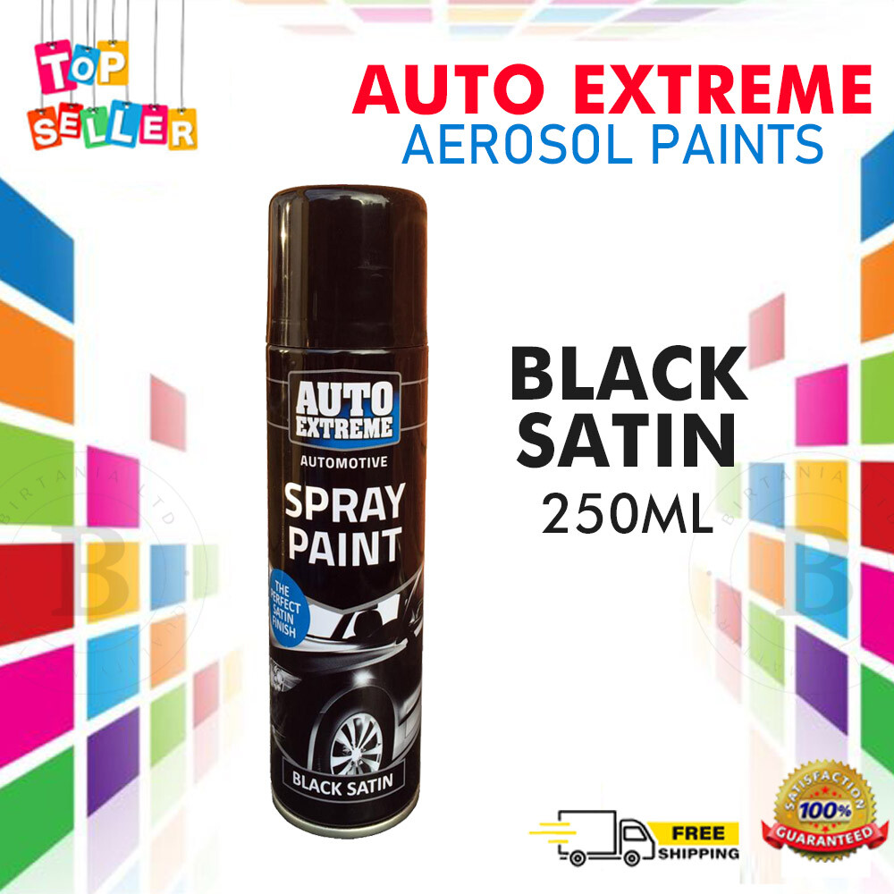 Spray Paint Aerosol Auto Car Primer Matt Gloss Lacquer Restore Metal A5
