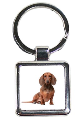 Brauner Dackel Hund Haustier Luxus Quadrat Silber Metall Schlüsselanhänger und Geschenktüte