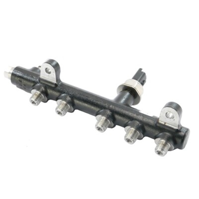 Railrohr mit Sensor für Ford, Citroen, Peugeot 2.0 HDi TDCi 9674300080
