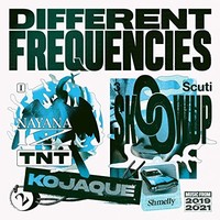 Various Artists - Different Frequencies - Vinyl Record 12 Record - F123Z