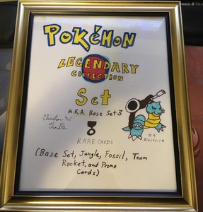 Legendary-Chris-chan-Framed-Pokemon-Art-Christine-Chandler-Signed-Sonichu