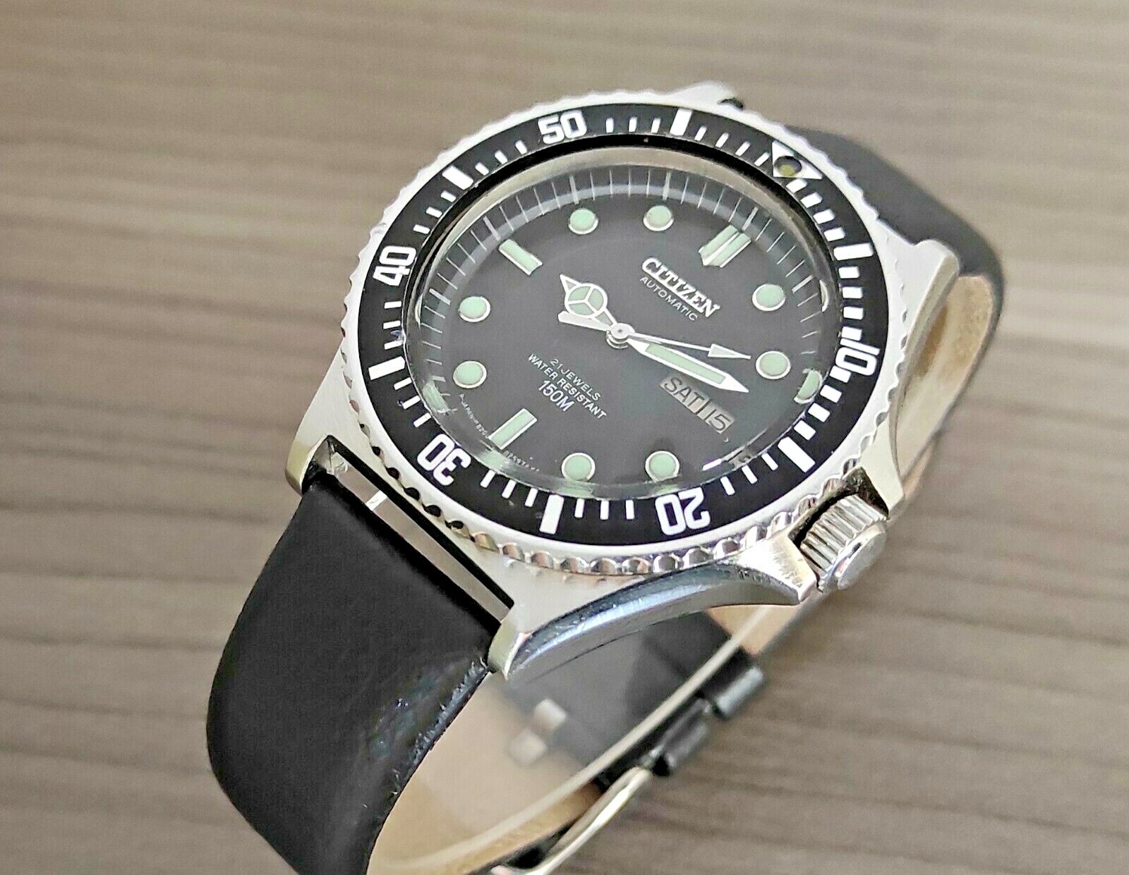 citizen dolphin diver