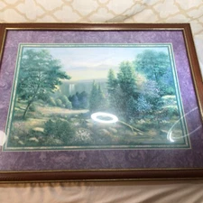 VTG HOMCO HOME INTERIORS  JEWELED FALLS SCENIC LARGE PICTURE SAMBATARO EUC