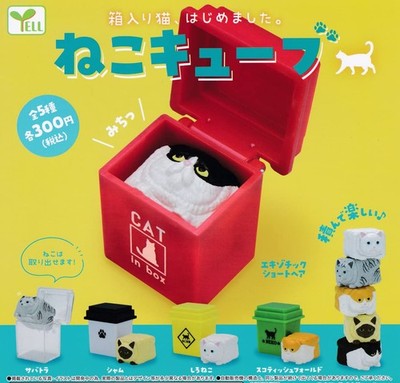 Katzenwürfel Komplettset 5 Kapseln Gashapon Spielzeug