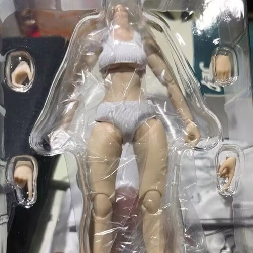 JET STUDIO TS-FB-001 TS-FB-002 1/12 Scale Female Body Model for 6'' FAG Figma TI - Picture 6 of 16
