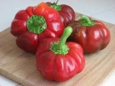 25 SWEET PIMENTO PEPPER SEEDS ~ 2026 ~ heirloomseedguy ~ USA
