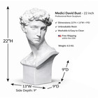 22 Inch Medici David Resin Bust – Professional Drawing Sculpture