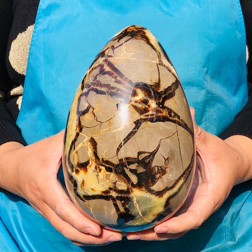 7.74LB Natural Dragon Septarian Egg Quartz Cluster Crystal Healing - Picture 6 of 16