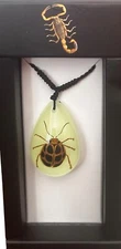 Necklace Pendant SPOTTED LEAF  BEETLE- Slider cord -Glow in the Dark -pear shape