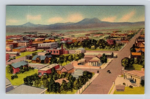 Old Postcard Bird's Eye View Alpine Texas Brewster County 1940's Linen Card