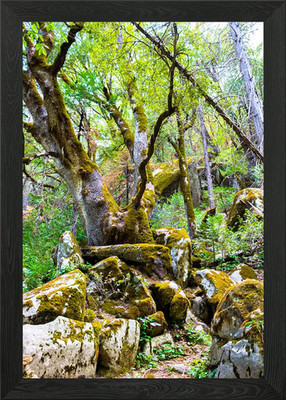 The Fantasy Is Real Gerahmtes Wandbild Poster Leinwanddruck Bild