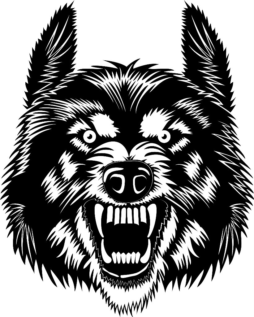 SCARY ANGRY WOLF FACE,ANIMALS, CAR DECAL STICKER | eBay