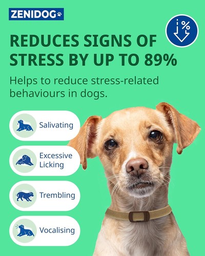 Collar for Small Dogs | Calming Pheromones | Reduces Stress & Anxiety, 3 Months - Picture 4 of 6