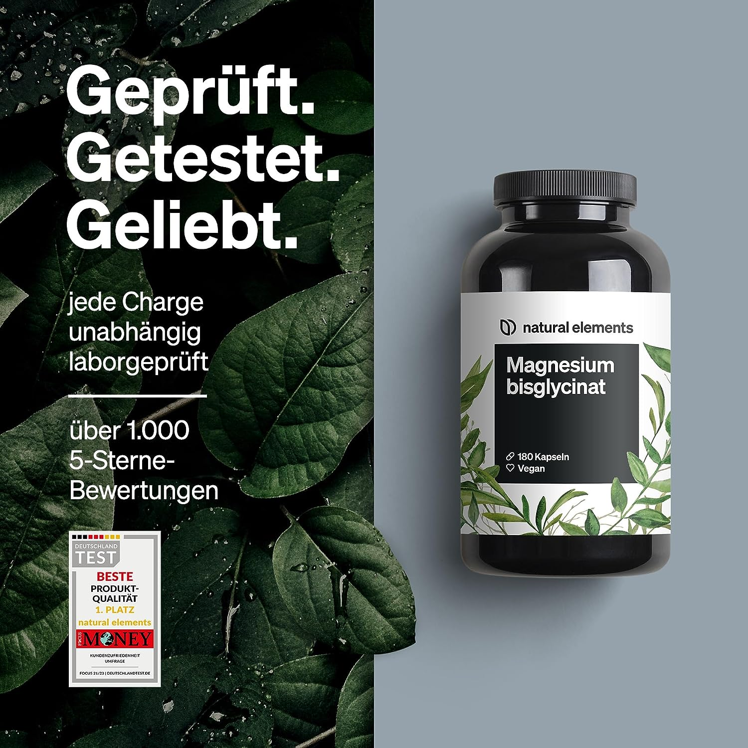 Bild 6 von 12