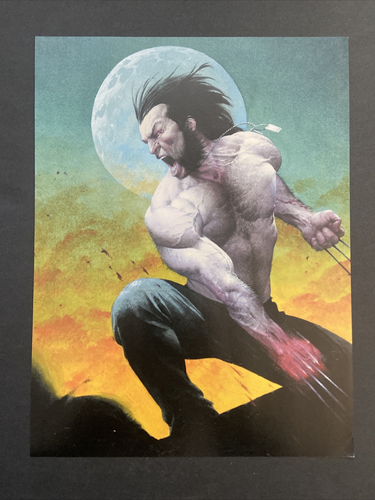 Wolverine Marvel Comic Poster 8.25x10.75 by Esad Ribic Art