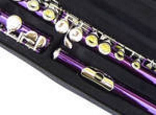 Buy Top Tunes for Flute Online at $8.99 - Flute World