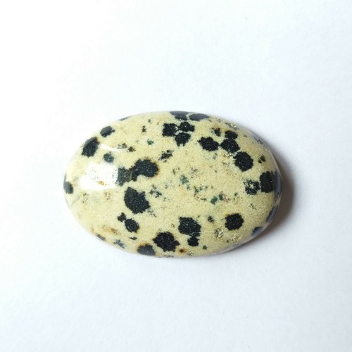 38 Carat 100% Natural Dalmation Jasper Loose Gemstone Cabochon 32*22 MM - Picture 4 of 5