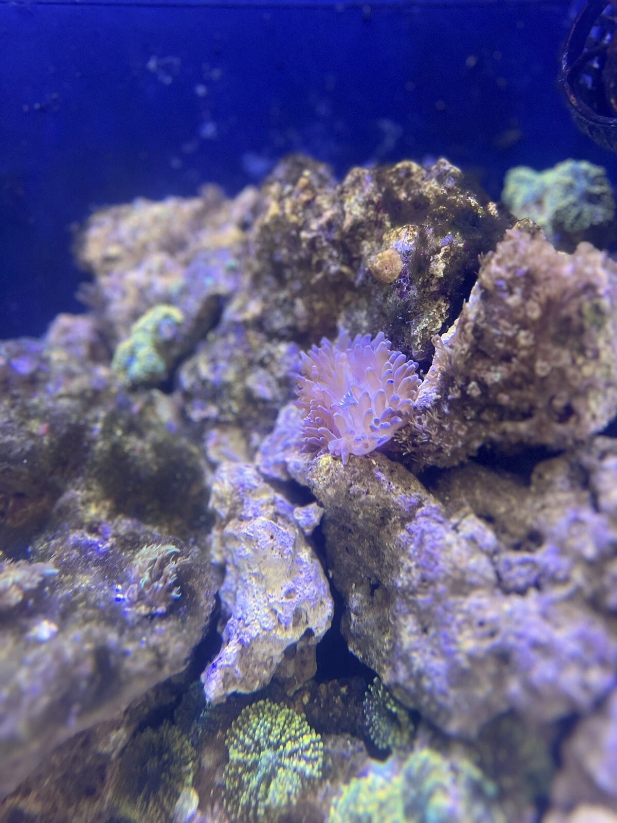 Picture 4 of 5
