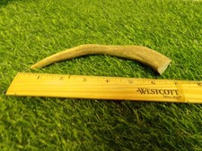 SOLID 6"- 7" Whitetail Deer Antler Dog Chew WHAT YOU SEE IS WHAT YOU GET