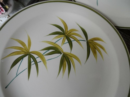 4 Dinner Plates Island Worcester Jamaica Green Band / Olive Colored Leaf Pattern - Picture 2 of 3