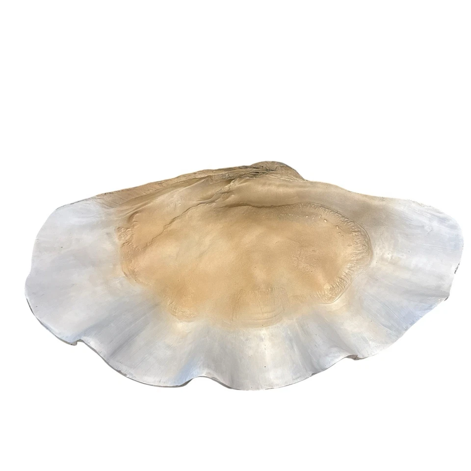 Uttermost Clam Coastal Polyresin Shell Bowl Antique White Brown Gray 16800 NEW - Image 2 of 4