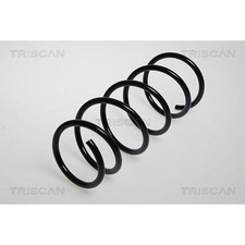 Ressort divers Nissan KUBISTAR