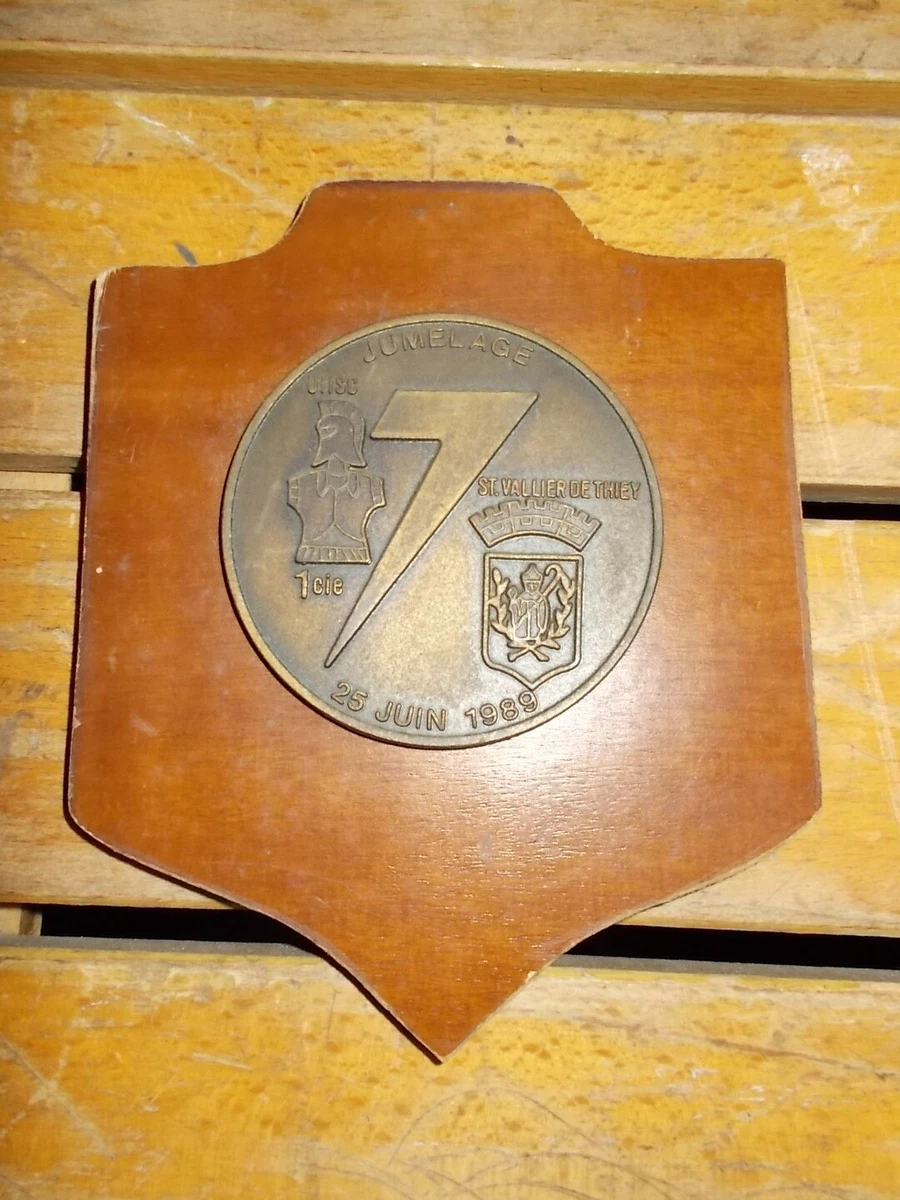 CREST IN METALLO SMALTATO 3D BASE LEGNO CL12 25X18CM 187 RGT PARA' FOLGORE ESERCITO ITALIANO | Giemme Store