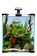 Aquariums Set Nano LED 676.3oz 5,7W Aquarium Complete Filter Heating Lighting