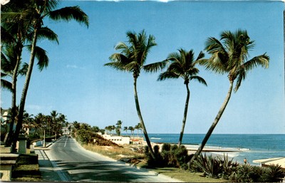 Beach, Ocean Blvd., Palm Beach, FL, F. E. C. News Co., Postcard