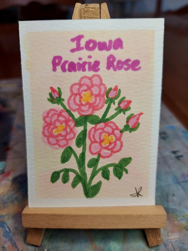 ACEO Watercolor Painting handpainted State Flowers Iowa Prairie Rose OOAK atc
