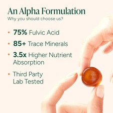 Root Labs Alpha Gummies  4000 mg Pure Himalayan Shilajit  60 Gummies