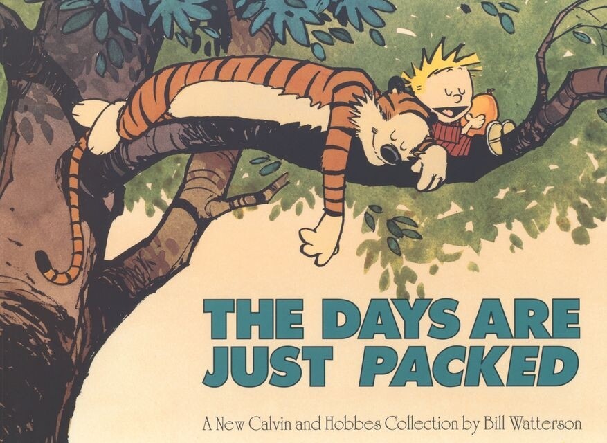 Thumbnail - Calvin And Hobbes. The Days Are Just Packed Bill Watterson